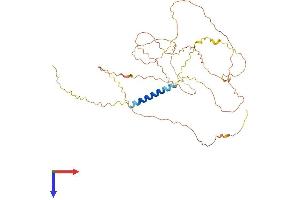 AlphaFold protein structure predicition of Mouse Recombinant Lax1 Protein, UniprotID Q8BHB3 (LAX1 Protein (AA 1-407) (His tag))