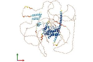 AlphaFold protein structure predicition of Mouse Recombinant Kank4 Protein, UniprotID Q6P9J5 (KANK4 Protein (AA 1-1016) (His tag))
