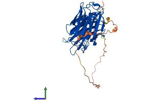 AlphaFold protein structure predicition of Human Recombinant LGALS9C Protein, UniprotID Q6DKI2