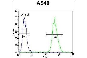 NIX Antibody (Center) (ABIN655731 and ABIN2845178) flow cytometric analysis of A549 cells (right histogram) compared to a negative control cell (left histogram).