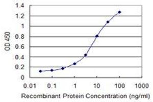 Detection limit for recombinant GST tagged SLC46A2 is 0. (SLC46A2 antibody  (AA 227-282))