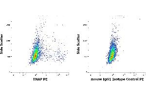 Flow cytometry surface staining patterns of HeLa cells stained using anti-TNAP (W8B2B10) PE antibody (concentration in sample 1. (TRAFs and NIK-Associated Protein (TNAP) antibody (PE))