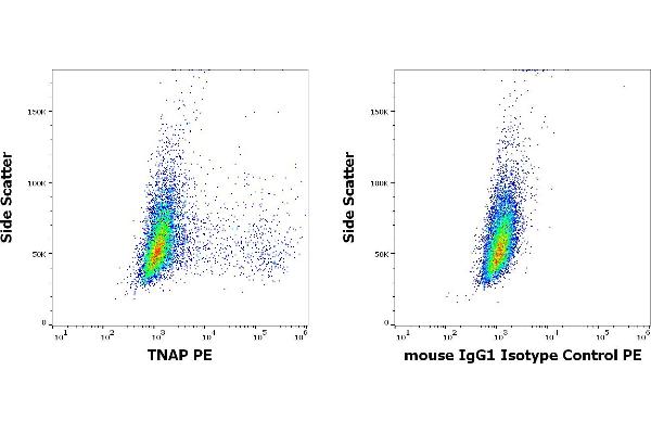 TRAFs and NIK-Associated Protein (TNAP) 抗体 (PE)