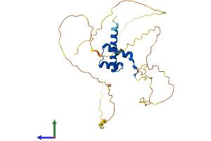 AlphaFold protein structure predicition of Human Recombinant HOXB13 Protein, UniprotID Q92826
