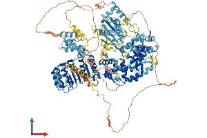 AlphaFold protein structure predicition of Mouse Recombinant Ciita Protein, UniprotID P79621