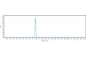anti-PDCD1 (Tislelizumab Biosimilar) antibody