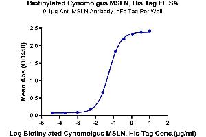Immobilized Anti-MSLN Antibody, hFc Tag at 1 μg/mL (100 μL/Well) on the plate. (Mesothelin Protein (MSLN) (AA 406-690) (His tag,Biotin))