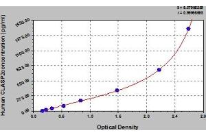 CLASP2 ELISA Kit