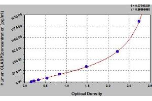 Typical Standard Curve (CLASP2 ELISA Kit)