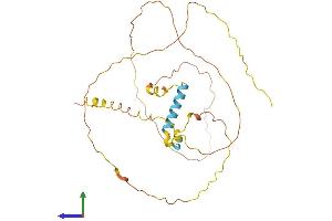 AlphaFold protein structure predicition of Human Recombinant CT47B1 Protein, UniprotID P0C2W7