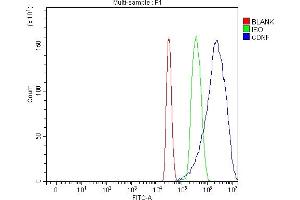 Flow Cytometry analysis of HEPA1-6 cells using anti-Cdnf antibody (ABIN7600890). (CDNF antibody  (AA 25-187))