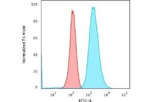 Flow Cytometric Analysis of paraformaldehyde-fixed K562 cells. (Moesin antibody)