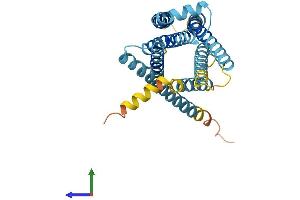 Protein Structure (PS) image for Taste Receptor, Type 2, Member 60 (TAS2R60) (AA 1-318) protein (His tag) (ABIN7544103)