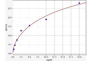 Regucalcin ELISA Kit