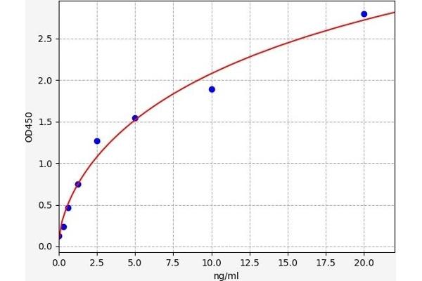 Regucalcin ELISA Kit