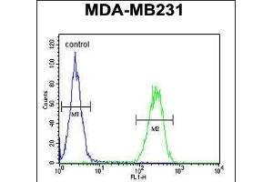 PRSS3 Antibody (N-term) (ABIN654446 and ABIN2844180) flow cytometric analysis of MDA-M cells (right histogram) compared to a negative control cell (left histogram). (PRSS3 antibody  (N-Term))