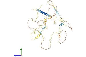 AlphaFold protein structure predicition of Mouse Recombinant Pag1 Protein, UniprotID Q3U1F9 (PAG1 Protein (AA 1-429) (His tag))