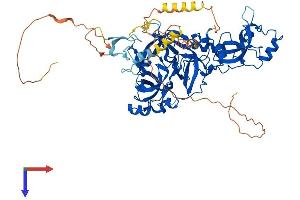 MBTD1 Protein (AA 1-628) (His tag)