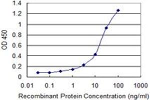 Detection limit for recombinant GST tagged TNFSF11 is 0. (RANKL antibody  (AA 222-316))