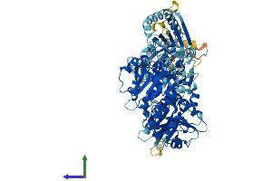 AlphaFold protein structure predicition of Human Recombinant SLFN5 Protein, UniprotID Q08AF3