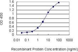 Detection limit for recombinant GST tagged ATOH1 is 0. (ATOH1 antibody  (AA 266-354))