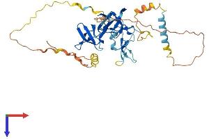 AlphaFold protein structure predicition of Human Recombinant STAC3 Protein, UniprotID Q96MF2 (STAC3 Protein (AA 1-364) (His tag))