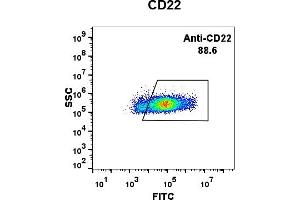 Expi 293 cell line transfected with irrelevant protein (left) and human CD22 (right) were surface stained with Rabbit anti- CD22 monoclonal antibody 1 μg/mL (clone: DM13) followed by Alexa 488-conjugated anti-rabbit IgG secondary antibody. (CD22 antibody  (AA 20-687))