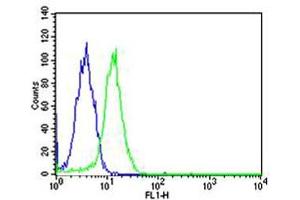 Flow cytometric analysis of Hela cells using SP1 Antibody (green, Cat(ABIN1944791 and ABIN2838536)) compared to an isotype control of mouse IgG1(blue). (SP1 antibody  (AA 1-250))