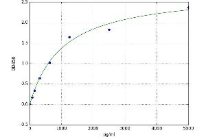Teratocarcinoma-Derived Growth Factor 1 (TDGF1) ELISA Kit