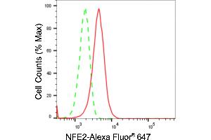 Flow cytometric analysis of NFE2 expression in HeLa cells using NFE2 antibody (ABIN7799633), 1:2,000).