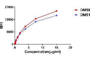 Affinity ranking of different Rabbit anti-CTLA4 mAb clones by titration of different concentration onto Raji cells. (Recombinant CTLA4 antibody  (AA 36-161))