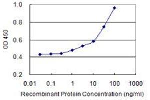 Detection limit for recombinant GST tagged PANK3 is 0. (PANK3 antibody  (AA 88-180))
