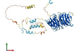 AlphaFold protein structure predicition of Human Recombinant FZR1 Protein, UniprotID Q9UM11