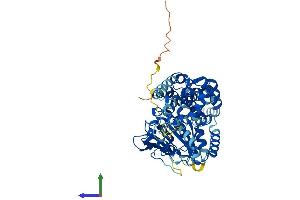 Protein Structure (PS) image for EH-Domain Containing 3 (EHD3) (AA 1-535) protein (His tag) (ABIN7565153)