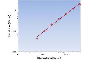 This is an example of what a typical standard curve will look like. (Corin ELISA Kit)