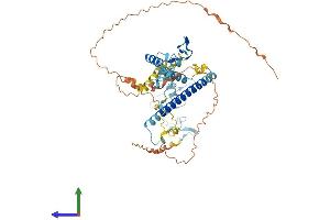 AlphaFold protein structure predicition of Human Recombinant KANSL2 Protein, UniprotID Q9H9L4