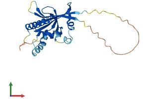 AlphaFold protein structure predicition of Mouse Recombinant Atg10 Protein, UniprotID Q8R1P4 (ATG10 Protein (AA 1-215) (His tag))