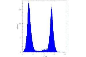 BRAF antibody flow cytometric analysis of HeLa cells (right histogram) compared to a negative control (left histogram). (BRAF antibody  (AA 424-453))