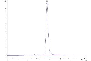 The purity of  Human GFRAL is greater than 95 % as determined by SEC-HPLC. (GFRAL Protein (AA 19-351) (Fc Tag))