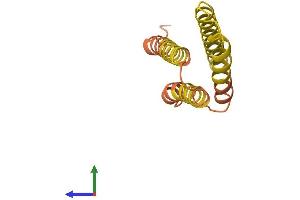 AlphaFold protein structure predicition of Human Recombinant PBOV1 Protein, UniprotID Q9GZY1