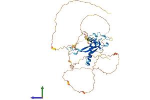 AlphaFold protein structure predicition of Mouse Recombinant Prr30 Protein, UniprotID Q9D9B7 (PRR30 Protein (AA 1-401) (His tag))