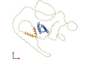 AlphaFold protein structure predicition of Human Recombinant HOXA13 Protein, UniprotID P31271