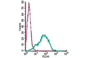 Cell surface detection of P2Y6 by direct flow cytometry in live intact mouse BV-2 microglia cells: (black line) Cells. (P2RY6 antibody  (Extracellular, Loop 2) (PE))