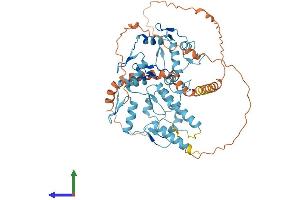 Protein Structure (PS) image for ZFP69 Zinc Finger Protein (ZFP69) (AA 1-526) protein (His tag) (ABIN7545295)
