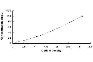 Typical standard curve (IL28B ELISA Kit)