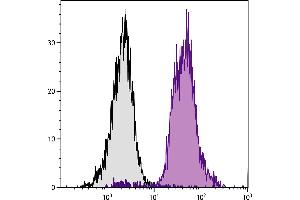 C57BL/6 mouse splenocytes were stained with Mouse Anti-Mouse CD45. (CD45.2 antibody  (APC))