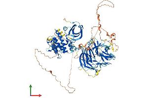 AlphaFold protein structure predicition of Mouse Recombinant Map4k3 Protein, UniprotID Q99JP0 (MAP4K3 Protein (AA 1-894) (His tag))