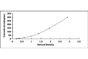 C4B ELISA Kit