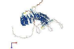 AlphaFold protein structure predicition of Human Recombinant PPP4R4 Protein, UniprotID Q6NUP7 (PPP4R4 Protein (AA 1-873) (His tag))