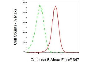 Flow cytometric analysis of Caspase 8 expression in HeLa cells using Caspase 8 antibody (ABIN7797904), 1:2,000). (Caspase 8 antibody)